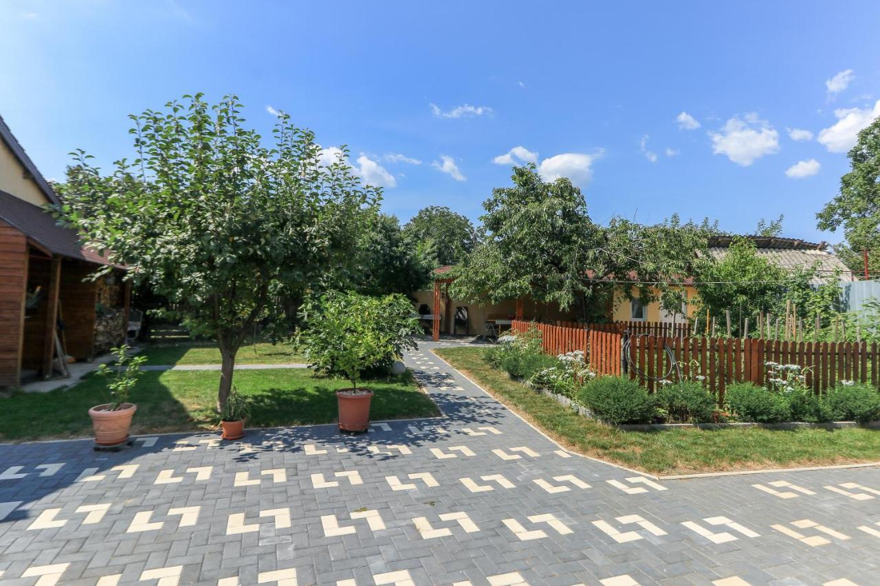 Nikas Apartment Sibiu Bagian luar foto