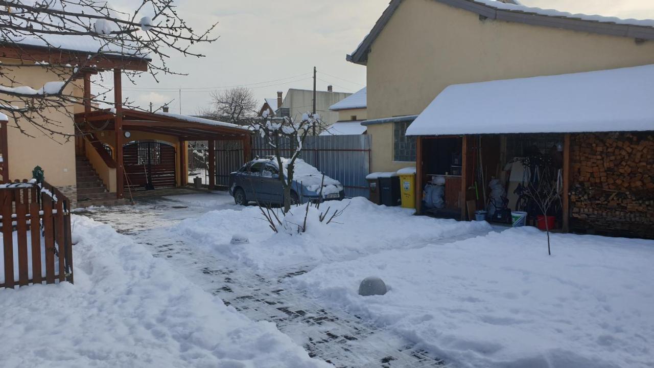 Nikas Apartment Sibiu Bagian luar foto